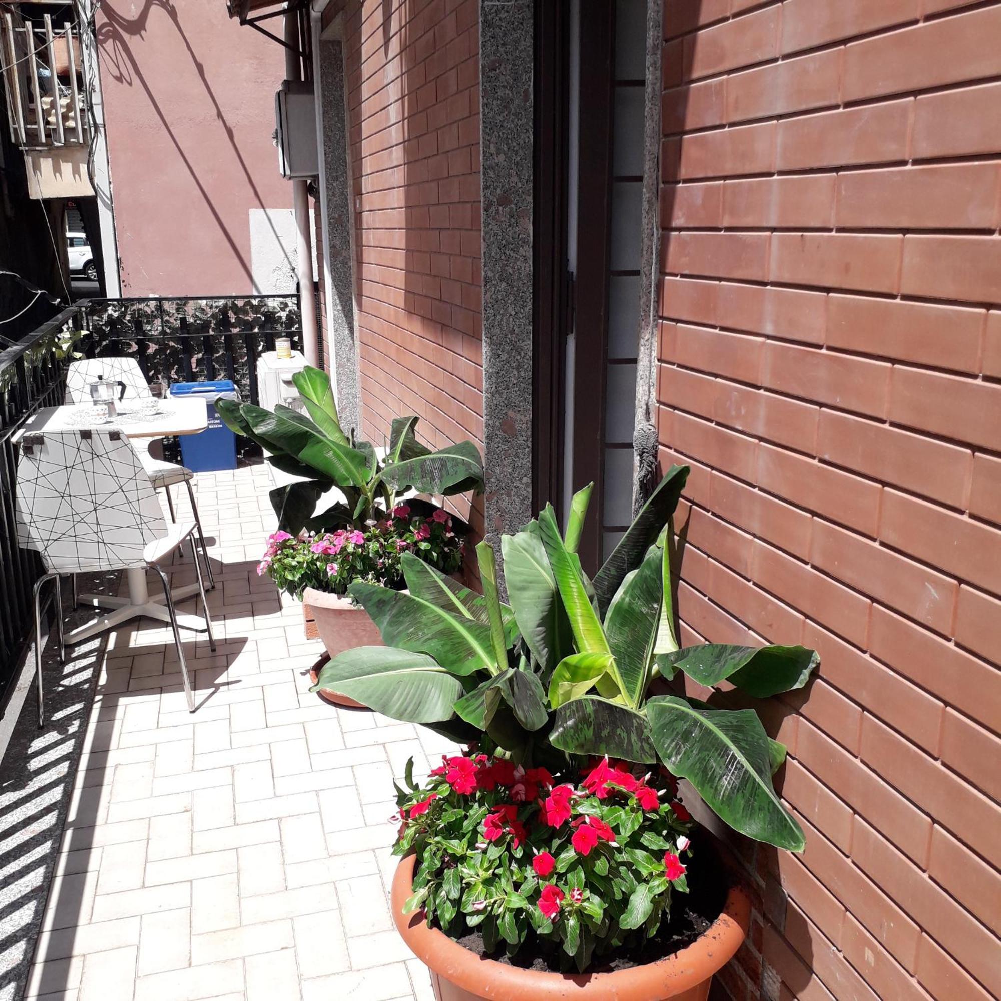 קטאניה Le Case Del Cortile מראה חיצוני תמונה