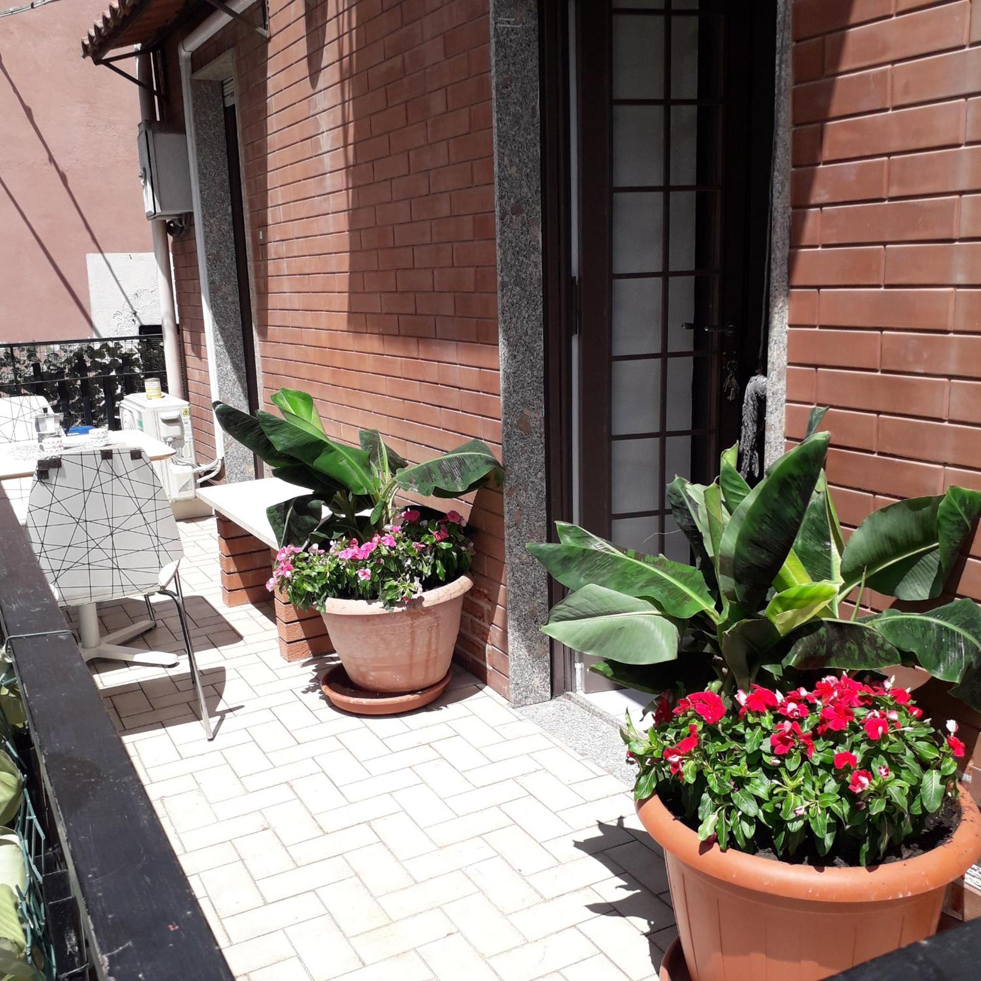 קטאניה Le Case Del Cortile מראה חיצוני תמונה