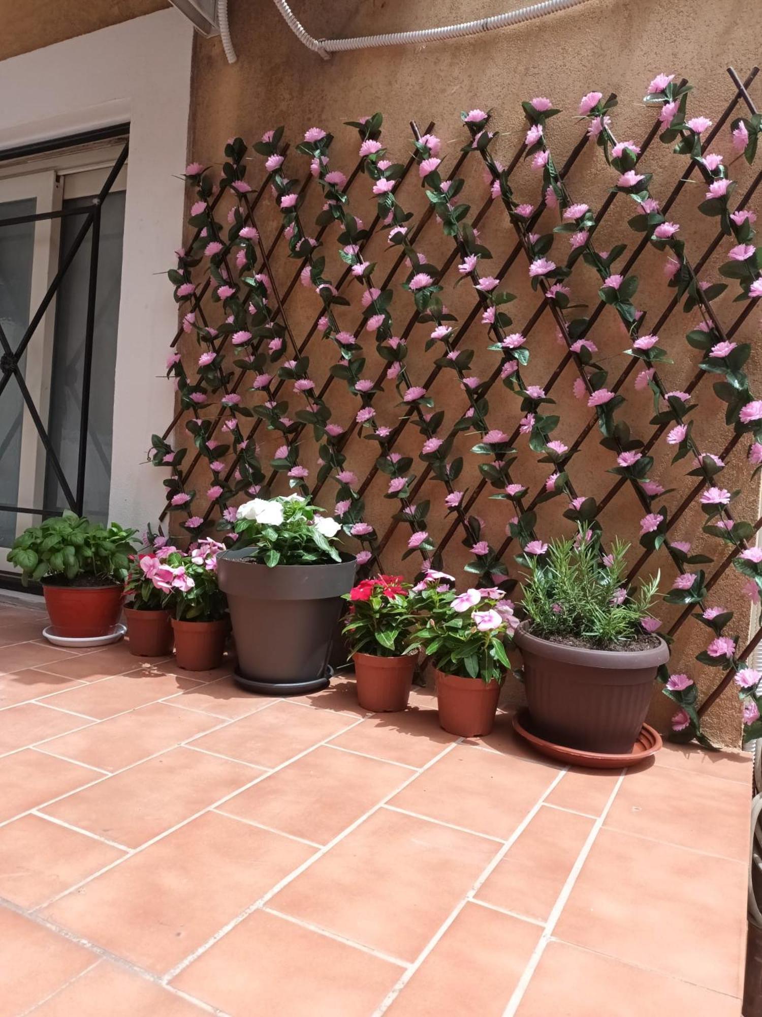 קטאניה Le Case Del Cortile מראה חיצוני תמונה